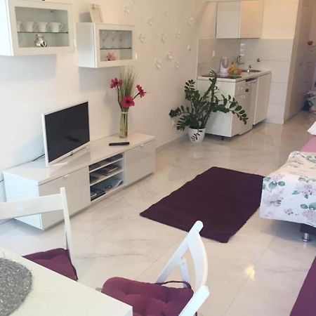 Cute Studio-Great Location 扎达尔 外观 照片