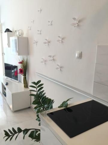 Cute Studio-Great Location 扎达尔 外观 照片