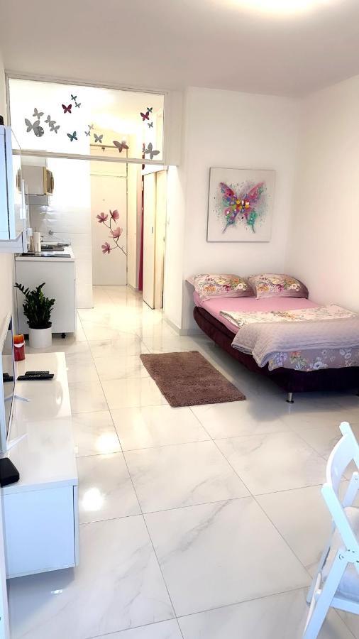 Cute Studio-Great Location 扎达尔 外观 照片